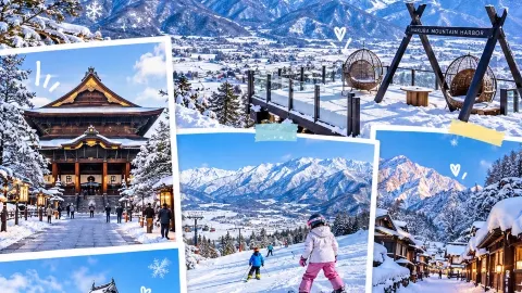 Let's travel to Nagano and Hakuba this winter! 🌲 — traveler post in Hakuba