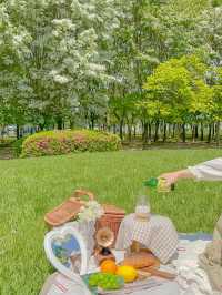 이팝나무 바라보며 피크닉 즐기기 좋은 공원🌿