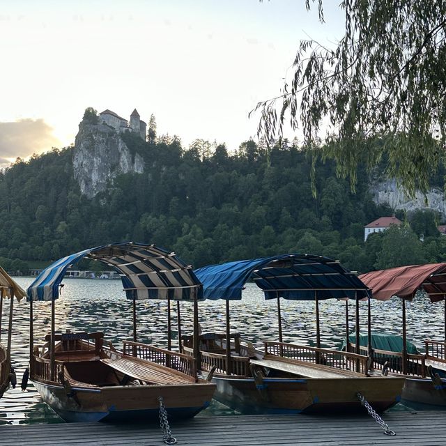 Zen time in Lake Bled