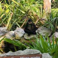 Xcaret is like Disney, but WAY more fun!