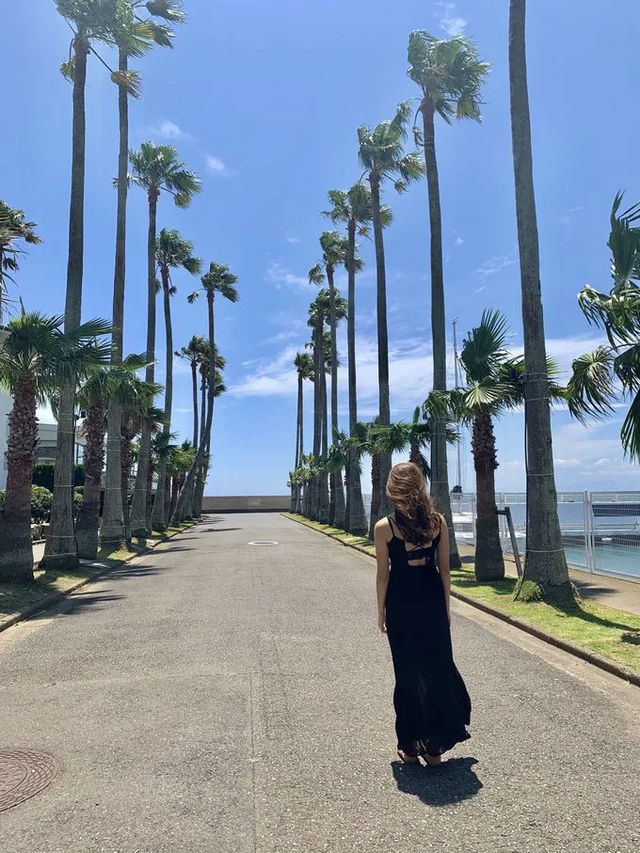 【まるで海外リゾート🏖️】逗子のおしゃれすぎるカフェレストラン