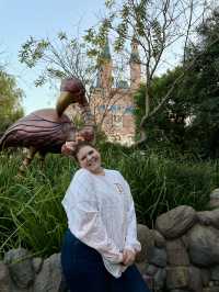The Best Castle Pictures at Shanghai Disney Resort
