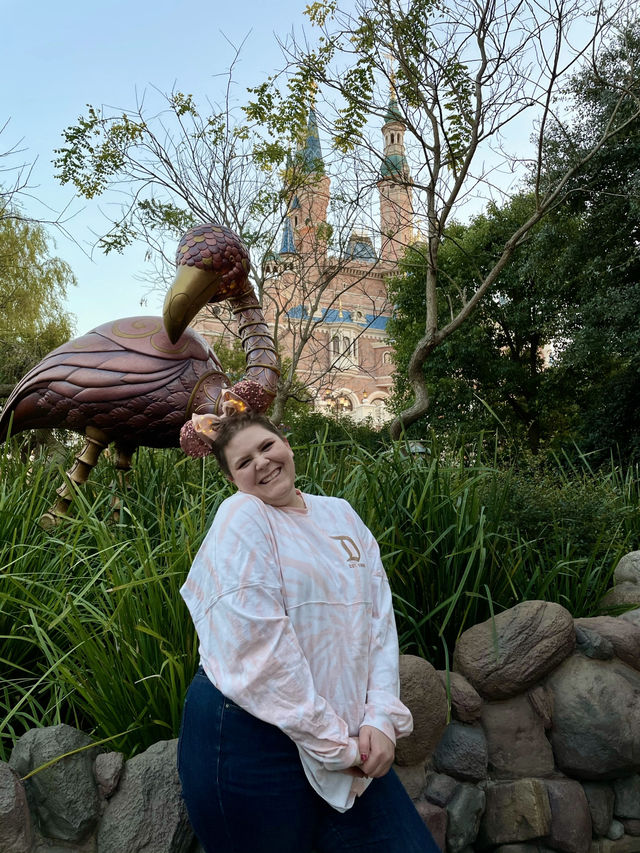 The Best Castle Pictures at Shanghai Disney Resort