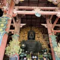 【奈良県🇯🇵東大寺】迫力が凄すぎた‼️見どころ満載の東大寺