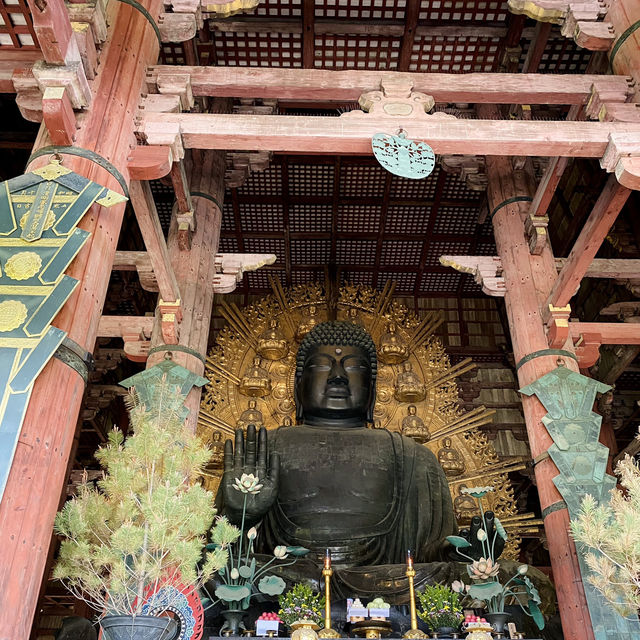 【奈良県🇯🇵東大寺】迫力が凄すぎた‼️見どころ満載の東大寺