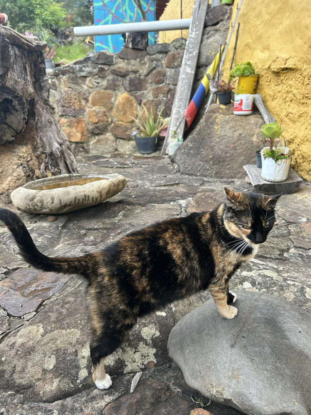🇨🇴山に泊まる贅沢：Hostal Villa San Juan滞在記