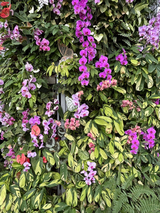 Shanghai Greenhouse Garden