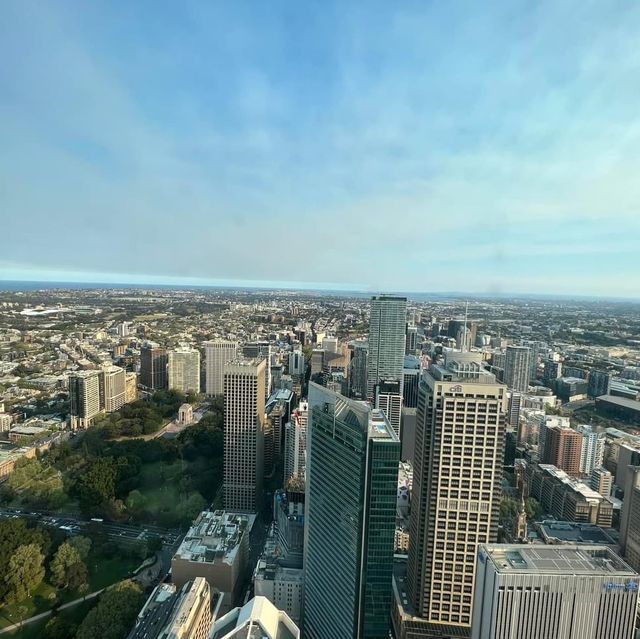 Must Visit: Sydney Tower Eye 🇦🇺