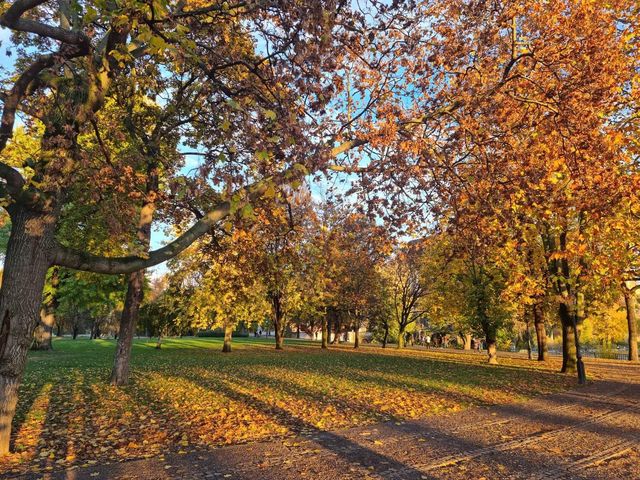 City Park Városliget Budapest in autumn 🗺️ 