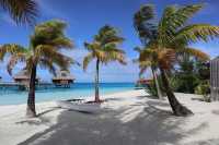 Blissful Bora Bora