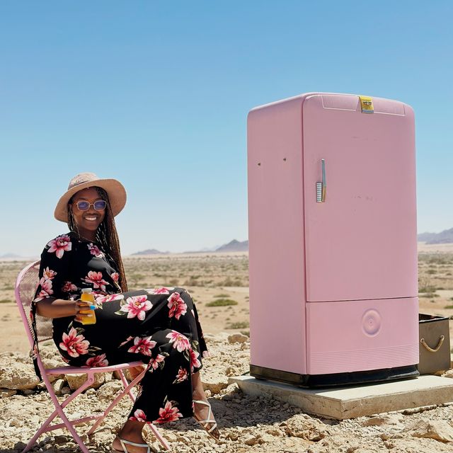 A Fridge in the middle of the desert 