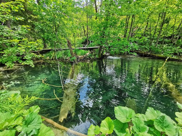 Chasing Waterfalls in Plitvice Lakes