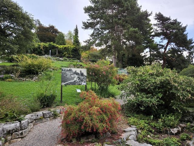 Lausanne Botanical Garden 🌳