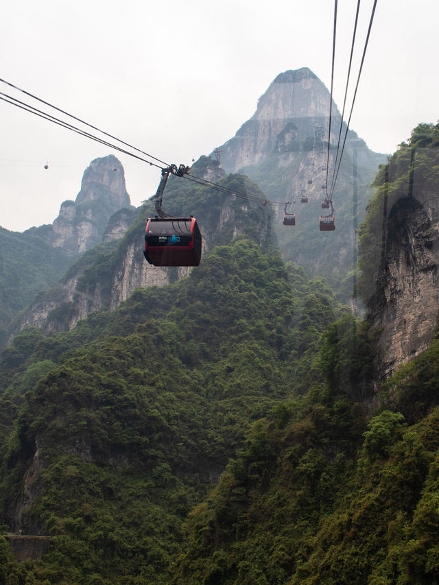 Ready to Enter Heaven’s Gate? Discover the awe-inspiring Tianmen Mountain.