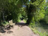 Serene Day at Lullingstone Country Park 🌳🌼