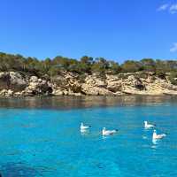 Paradise Found: A Journey to Cala Bassa’s Pristine Blue Waters