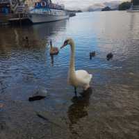 The Lake District - Windermere 