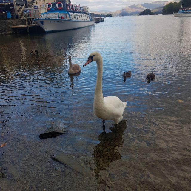 The Lake District - Windermere 