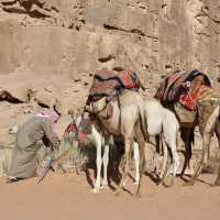Wadi Rum Experience 🌵🐪