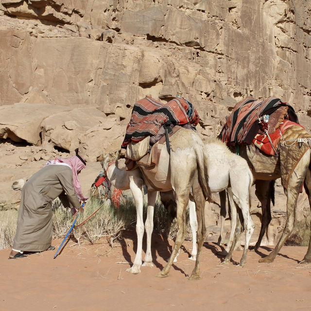 Wadi Rum Experience 🌵🐪