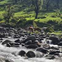 Paradise on Earth ‘KASHMIR’
