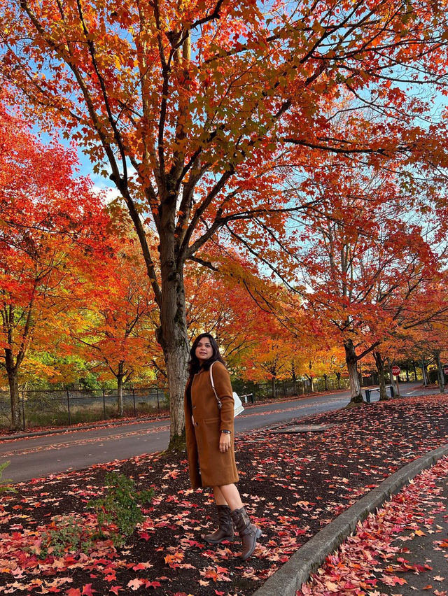 워싱턴의 가을: 자연과 그 색상의 마법