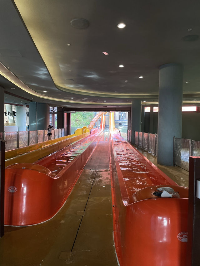 【踏足香港海洋公園水上樂園：具有刺激性的不同活動！】