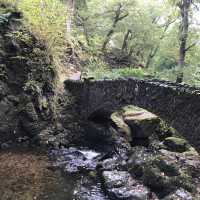 A waterfall to the lakes 