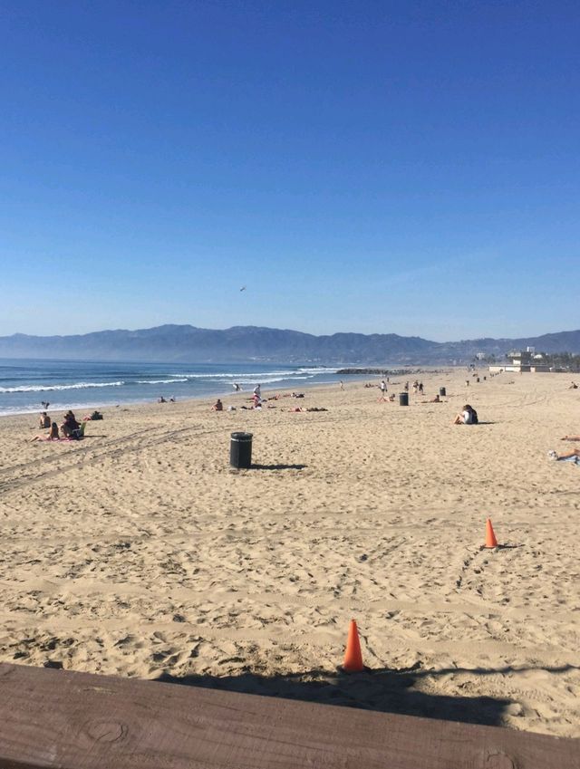 🏖️Venice Beach, LA