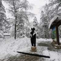 Plitvice full day tour