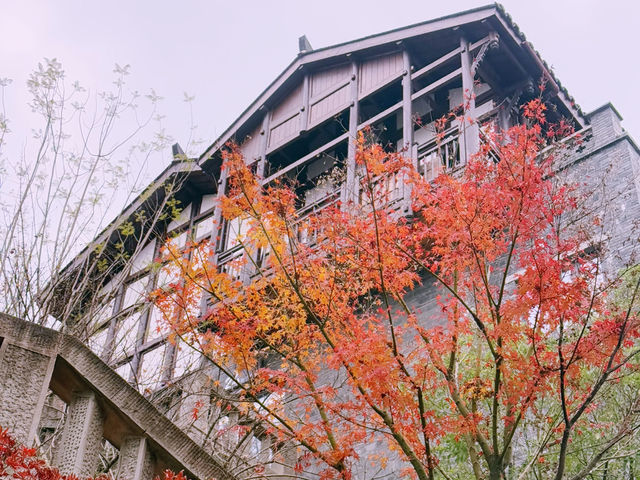 Step Back in Time at Ciqikou Ancient Town, Chongqing