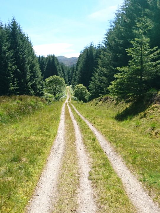 Cycling & Hiking Adventure Through the Trossachs: From Crianlarich to Glasgow