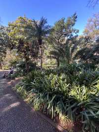 Green Funchal 