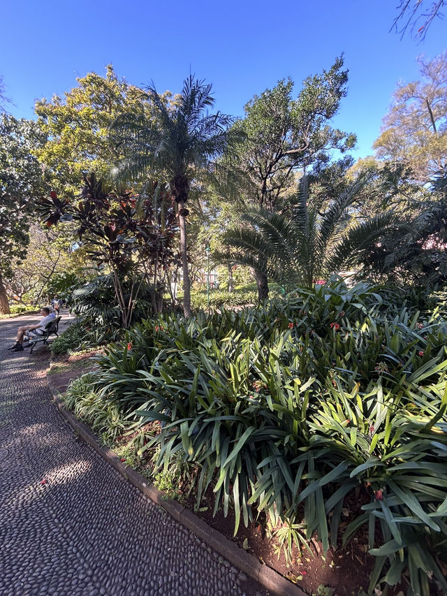 Green Funchal 