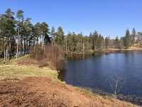 Around the tarn 