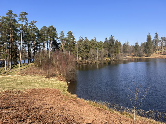 Around the tarn 