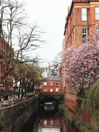 Spring in Manchester: A Blossom-Filled City Escape