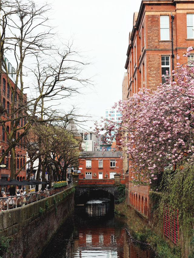 Spring in Manchester: A Blossom-Filled City Escape