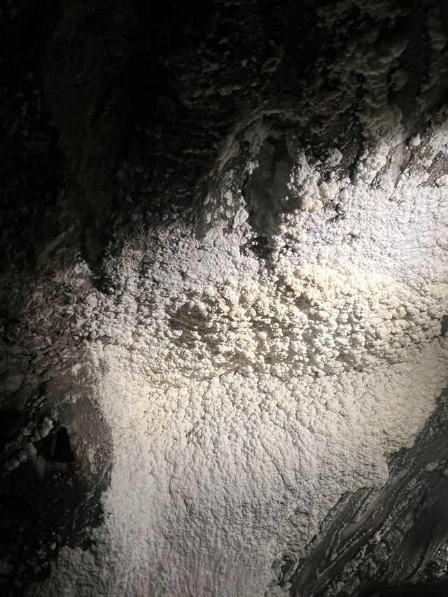 🇵🇱 波蘭維利奇卡鹽礦（Kopalnia soli Wieliczka）⛏️