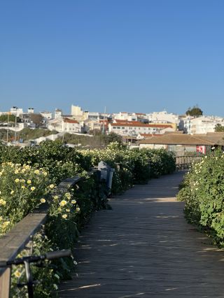 🇵🇹เดินเล่นไปตามชายหาดและพื้นที่ชุ่มน้ำของ Alvor เมือง Algarve!