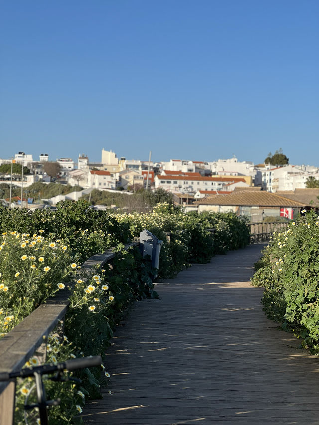 🇵🇹알가브 알보르의 해변과 습지 산책!