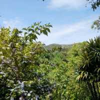 Secluded Splendour: the Botanical Gardens of Crete 🦋