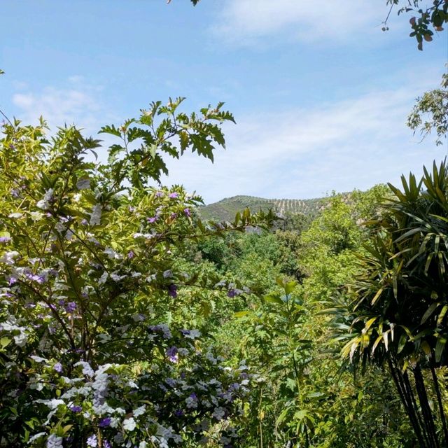 Secluded Splendour: the Botanical Gardens of Crete 🦋