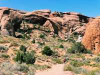 🚙 National Park Transportation Tips: Salt Lake City to the Mighty 5 🏞️🧭