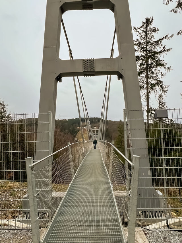 Above the trees, beyond the ordinary — welcome to Skywalk Willingen 🇩🇪🌉🌲
