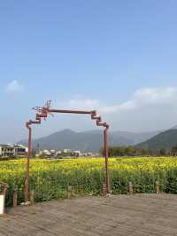 🏮🌿 Anyi Whispers: Step into Jiangxi’s 600-Year-Old Watercolor Dream!