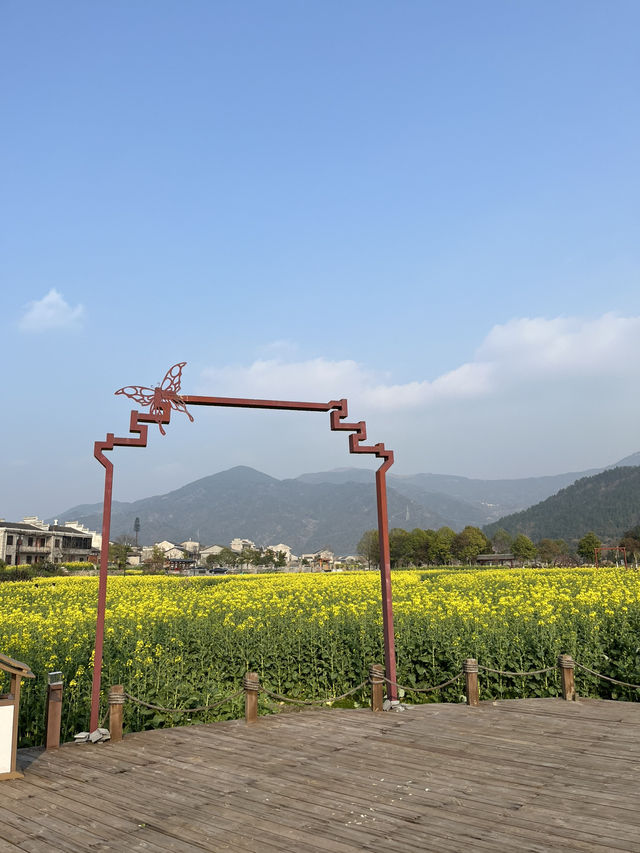🏮🌿 Anyi Whispers: Step into Jiangxi’s 600-Year-Old Watercolor Dream!