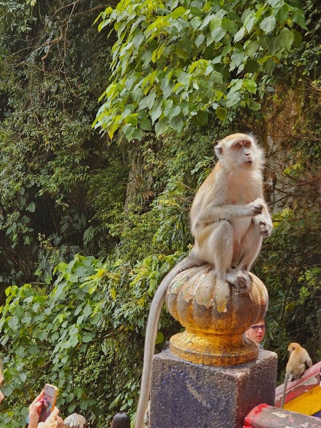 ⛰️ Batu Caves – A Spiritual and Cultural Landmark