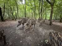 Art sculptures lost in a forest