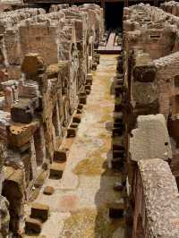 🇮🇹 Exploring the Colosseum in Rome: A Journey Through Time 🏛️✨